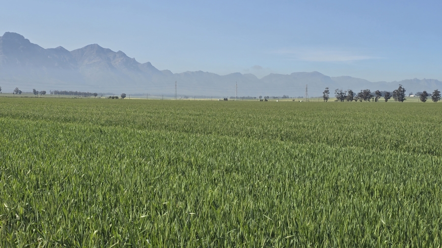 Commercial Property for Sale in Wellington Rural Western Cape